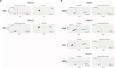 ESR1 Gene Mutation in Hormone Receptor-Positive HER2-Negative Metastatic Breast Cancer Patients: Concordance Between Tumor Tissue and Circulating Tumor DNA Analysis